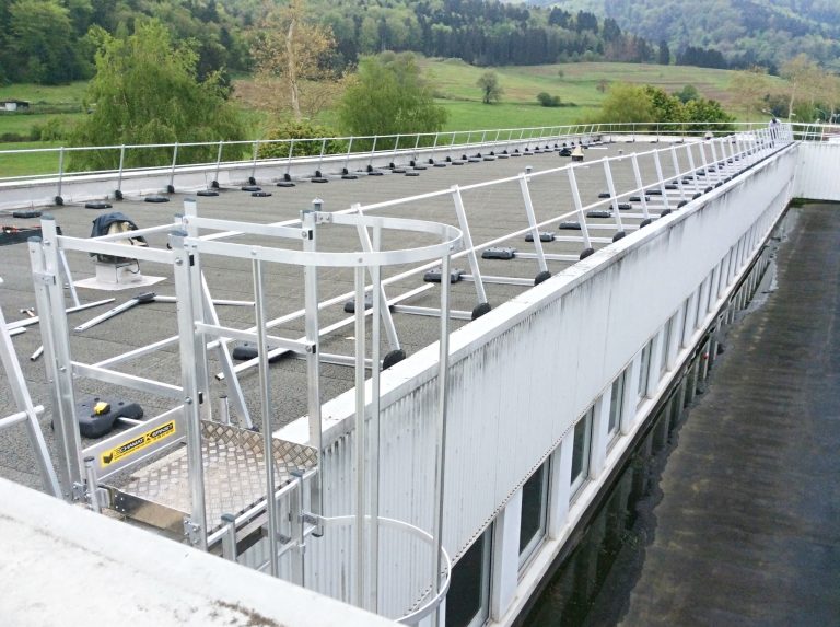 Guardrail and safety cage ladder for access and circulate on roof